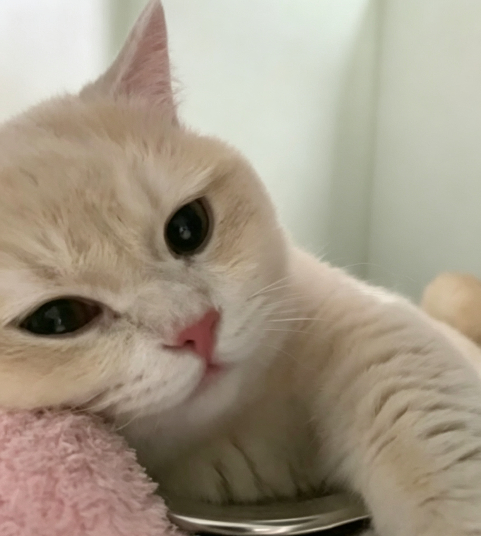 A moment with Lucky