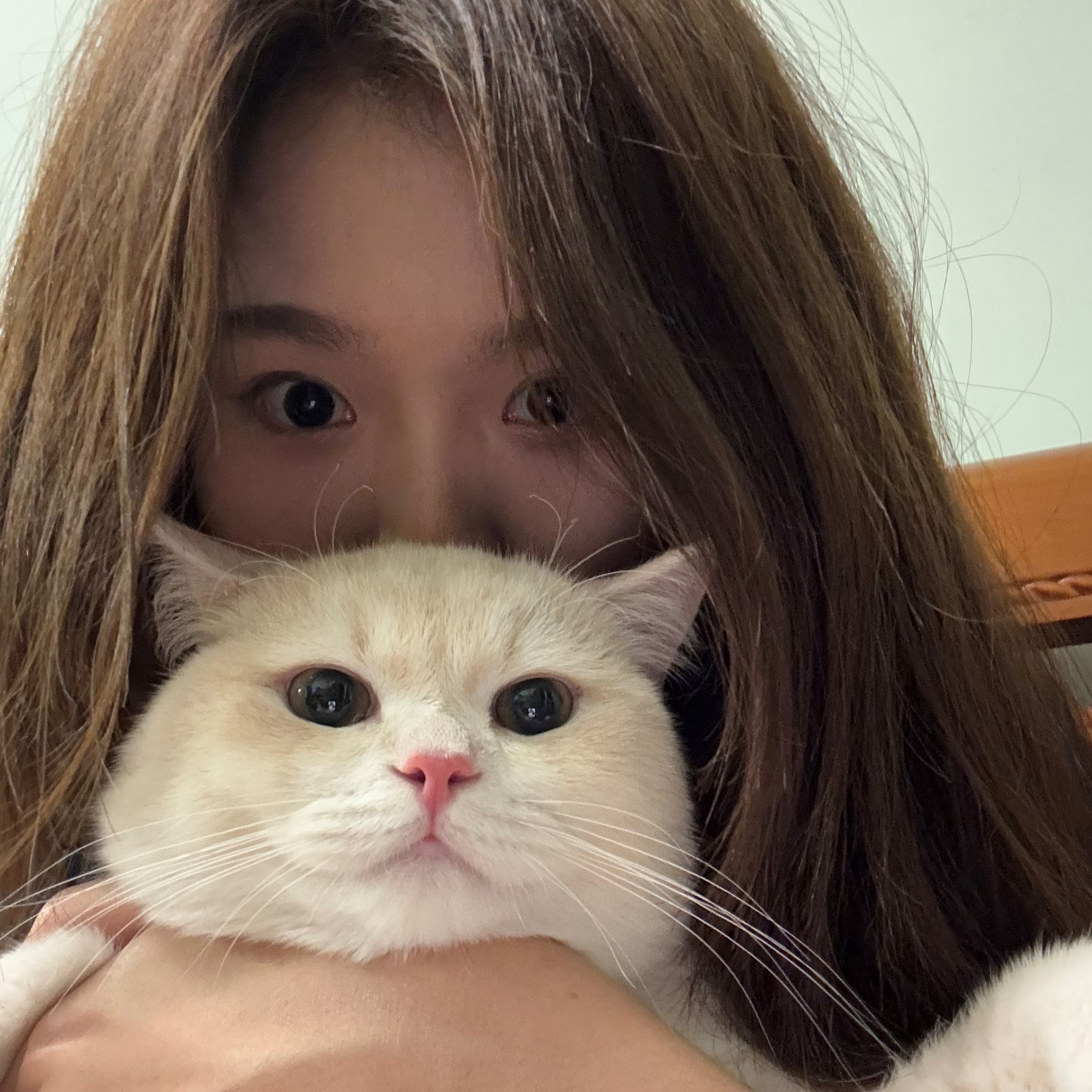 Lucky the cat